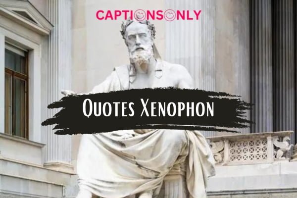 Quotes Xenophon 99 Powerful Quotes Xenophon On Leaderships