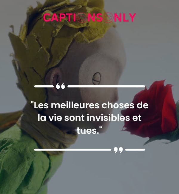 the little prince quotes 2 The Little Prince Quotes : A Timeless Journey of Profound Wisdom and Enduring Magic